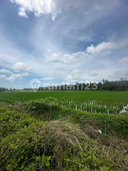 Tanah Dua Sekaligus Lokasi Strategis di Wanasari, Tabanan - Image 1 of 4