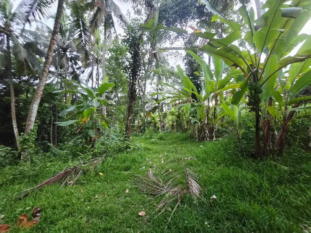 DIJUAL TANAH MURAH DI TABANAN
Batuaji - Image 1 of 10