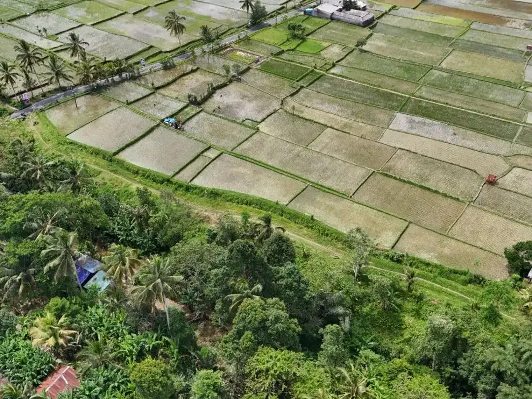 Rare! Tanah Kavling View Sawah – Lingkungan Asri, Legalitas Aman - Image 4 of 10