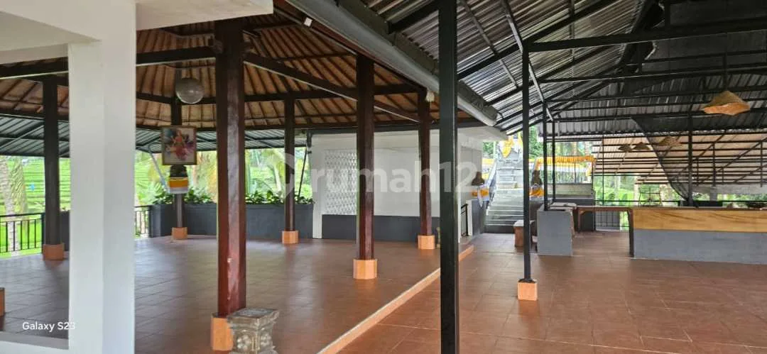 villa good rice view for rent - Image 4 of 4