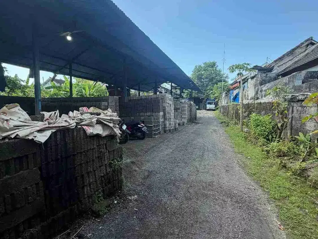 TANAH JALAN UTAMA MUNGGU BANTAS DEKAT KE PANTAI SESEH PERERENAN DAN DEKAT KE CANGGU COCOK UNTUK SEGALA MACAM USAHA - Image 4 of 5