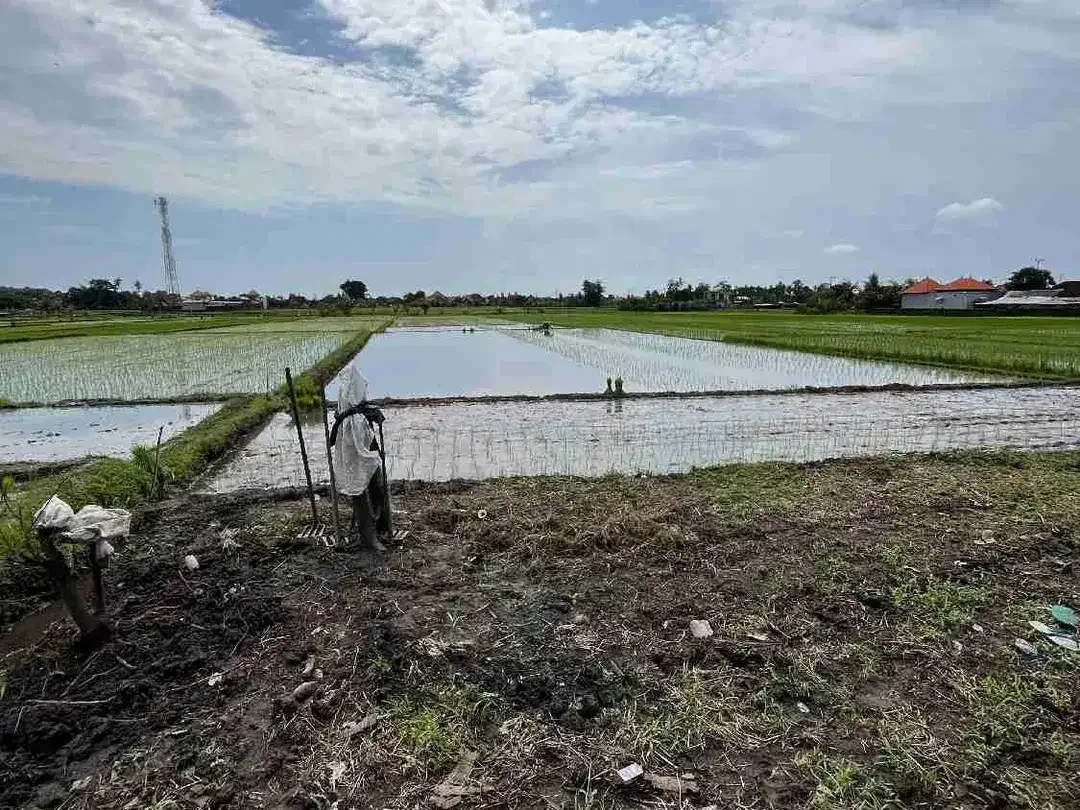 Di jual tanah sawah luas 48.5 are/48500 M2 di kaba-kaba tidak jauh ke arah pantai pererenan - Image 5 of 10