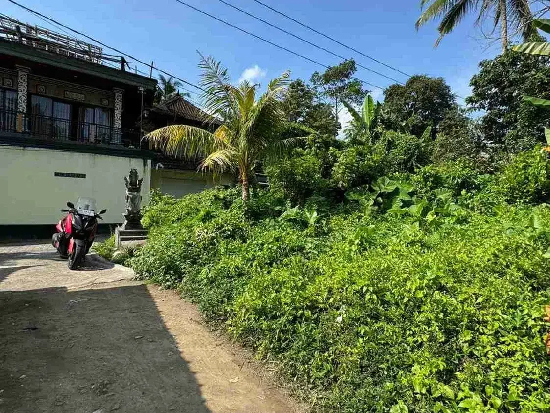Tanah Strategis di Kedewatan Ubud Cocok untuk Vila dan Investasi - Image 3 of 10