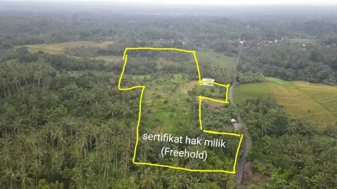 Kebun Durian View Sawah Terasering di Tabanan - Image 8 of 10