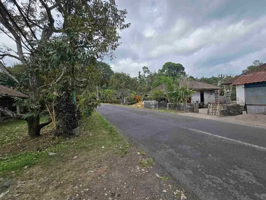 BUC TANAH DATAR ZONA KUNING DI TABANAN BALI - Image 1 of 10