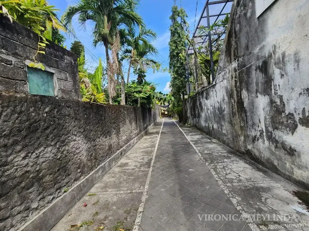 TANAH + BONUS RUMAH DIJUAL – PETITENGET, SEMINYAK. - Image 4 of 6