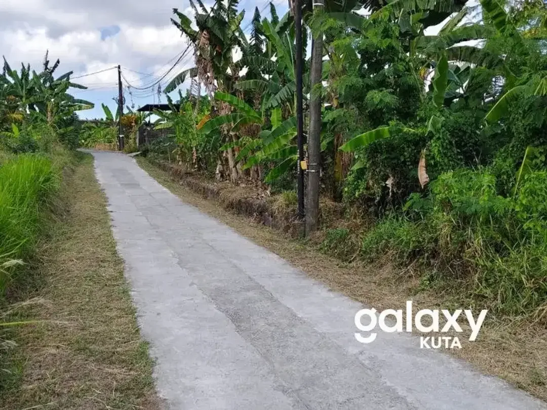 DIJUAL TANAH 2 ARE KAWASAN PERUMAHAN DEKAT PANTAI YEH GANGGA DI TABANAN - Image 4 of 8