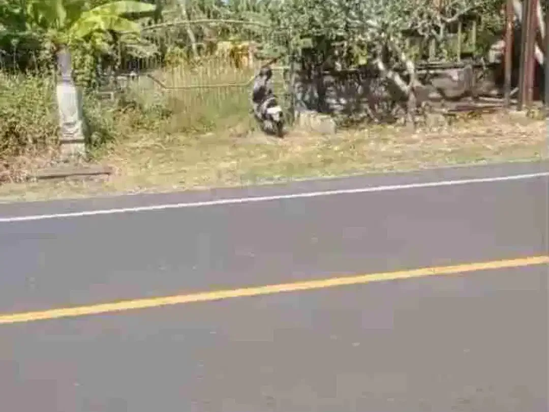 TANAH MURAH JALAN DENPASAR GILIMANUK YEH EMBANG NEGARA COCOK UNTUK USAHA DLL - Image 2 of 7
