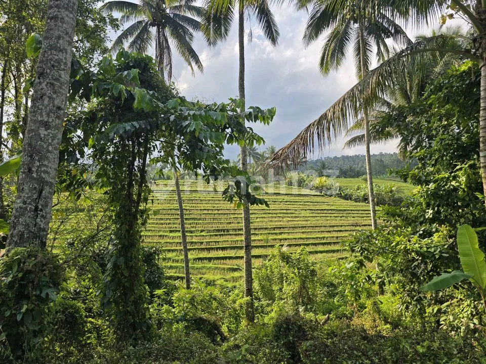 Butuh Uang Cepat Tanah Dijual Murah dengan Wiew Sawah di Tababan Bali - Image 3 of 4