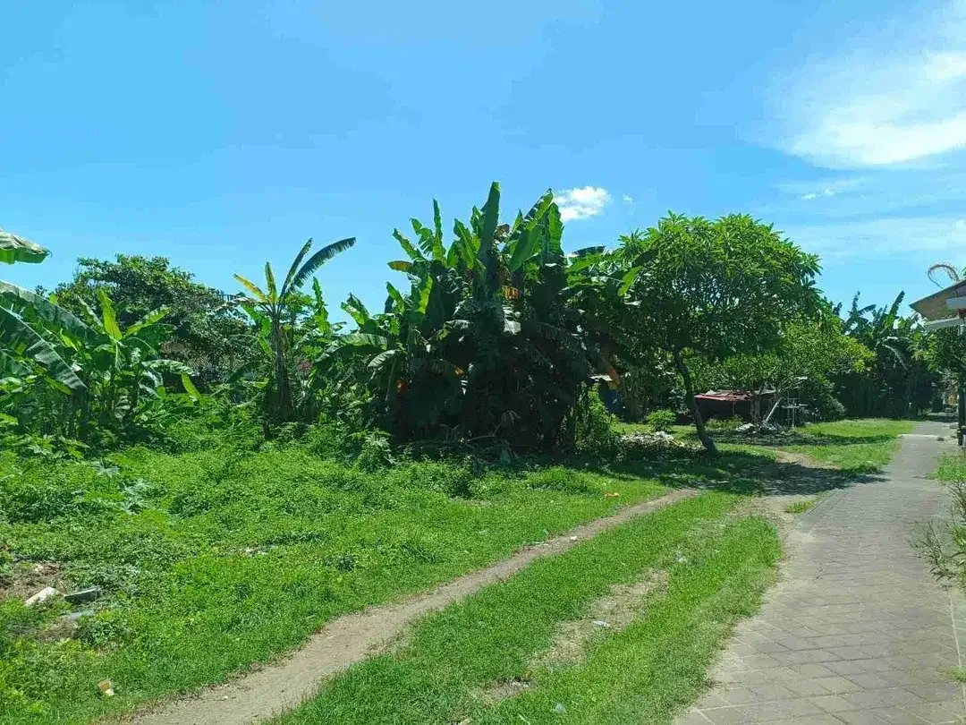 dijual tanah 2840m² IDR 650 juta per are di tanjung nusa dua badung bali - Image 9 of 10