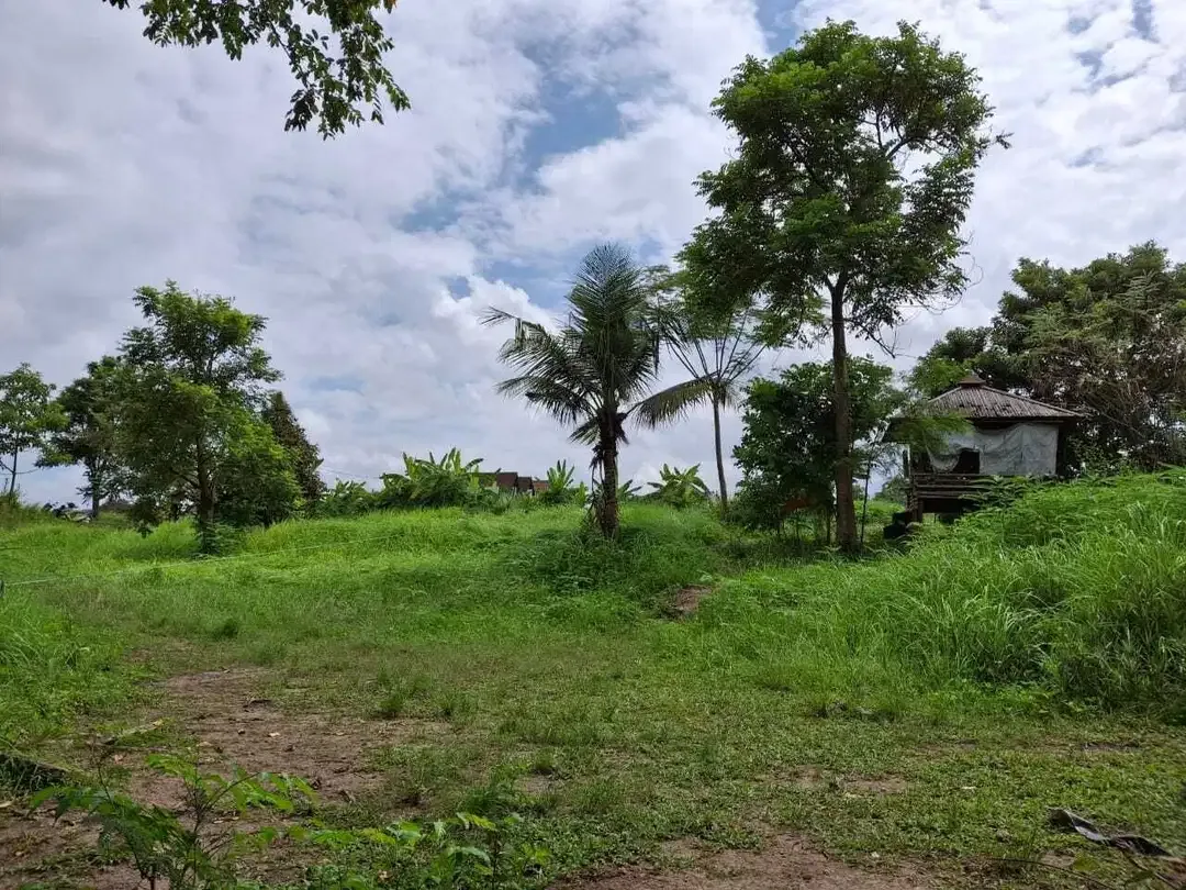 Dijual Tanah 23 are di daerah ubud - Image 4 of 9