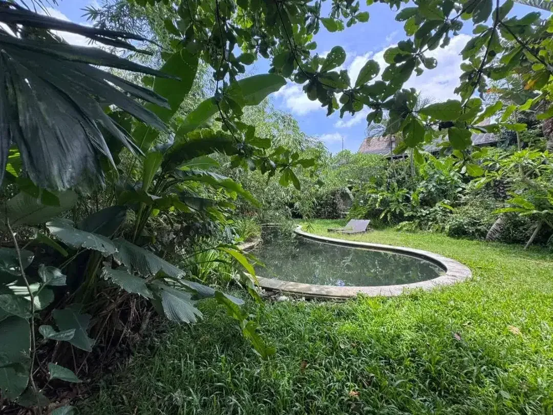 Freehold, Dijual Villa Jungle Need Renovation - Berlokasi di Pegending, Canggu - Image 5 of 7