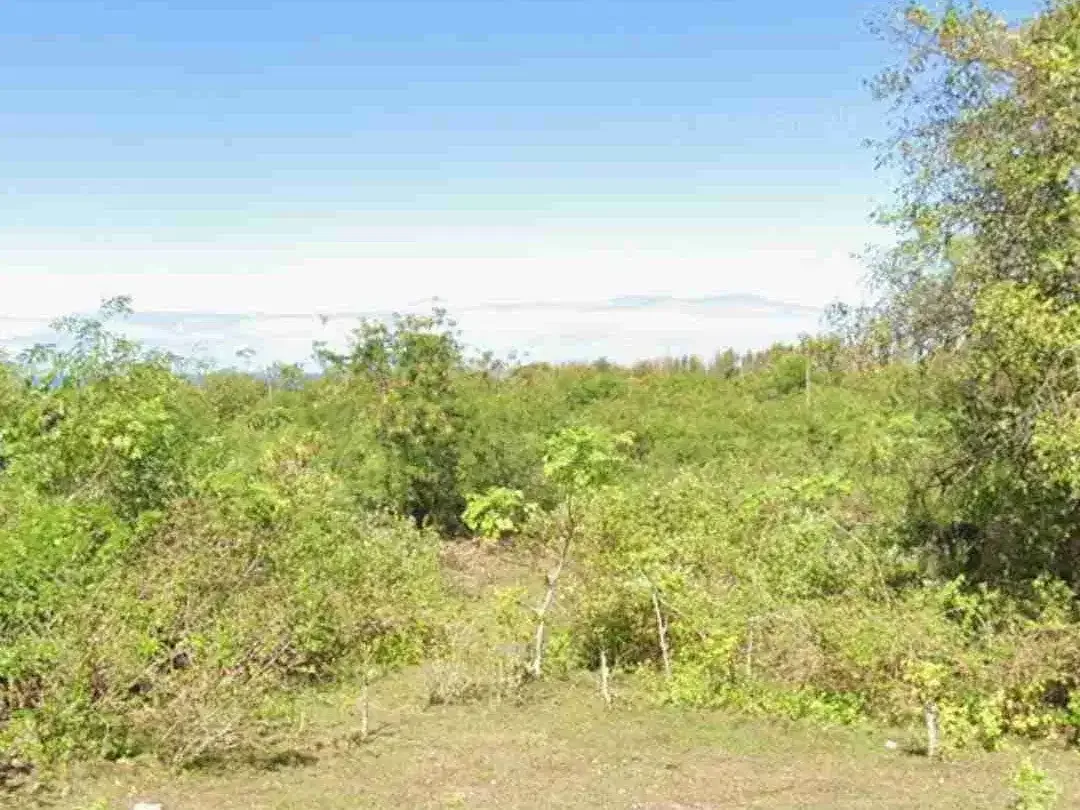 tanah langka sangat cocok di bangun komplex villa - Image 2 of 7