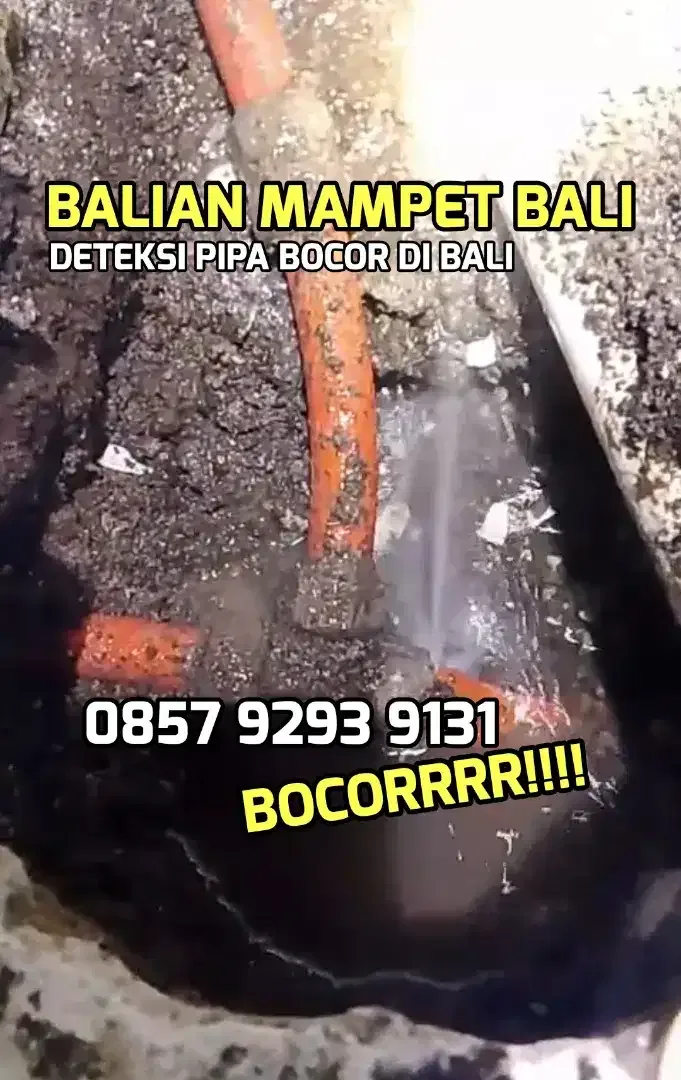 JASA TUKANG DETEKSI PIPA BOCOR - Image 4 of 6