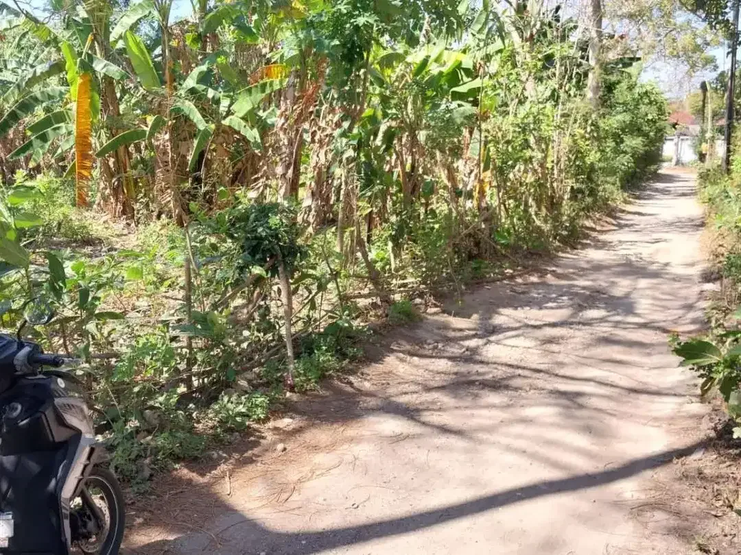 TANAH STRATEGIS DEKAT PANTAI DI KEDONGANAN - Image 7 of 7