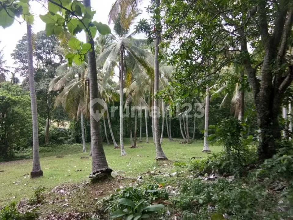 Dijual Tanah Luas 88 Are Selemadeg Barat - Image 1 of 4