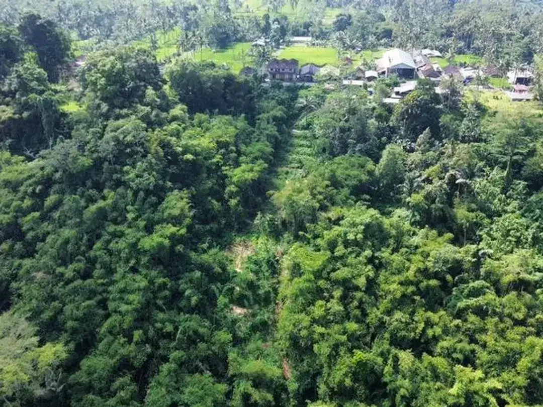 Tanah Lokasi Strategis Sebatu Ubud - Image 6 of 9