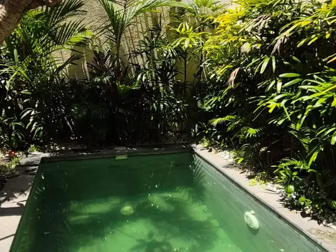 Rental - Private home, Quiet, and Close to Canggu, Bali - Image 7 of 10