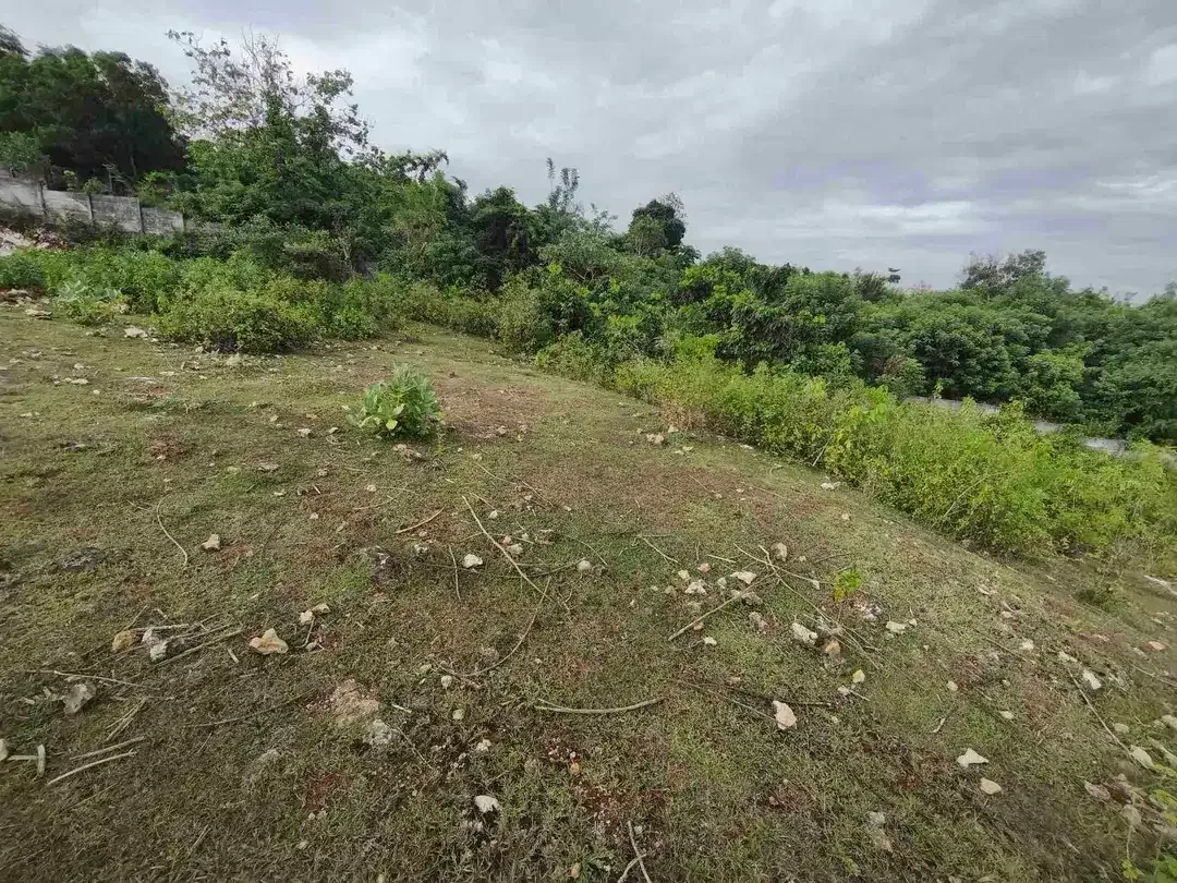 dijual tanah 400m² IDR 650 jutaper are dekat rektorat kampus unud jimbaran - Image 10 of 10