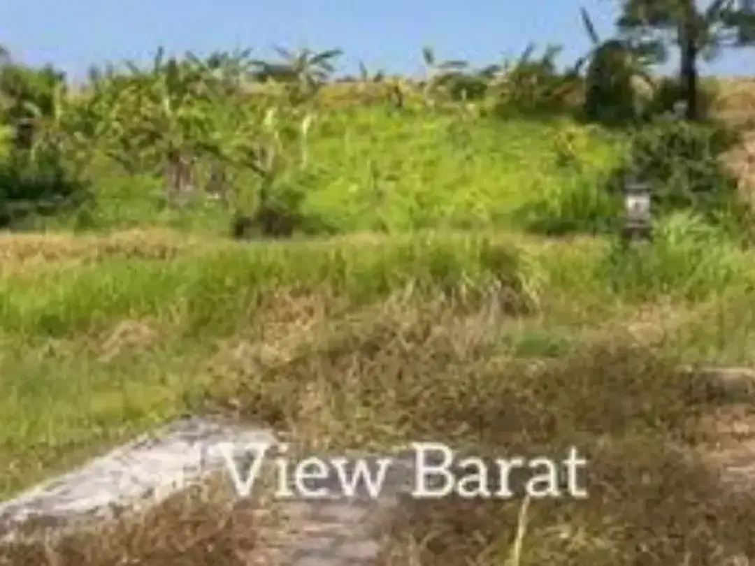 TANAH DI PANTAI BERABAN TABANAN - Image 7 of 8