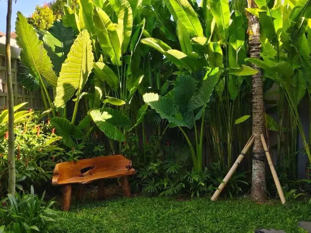 DIJUAL RUMAH SEMI VILLA DAERAH KEDIRI TABANAN BALI - Image 8 of 10