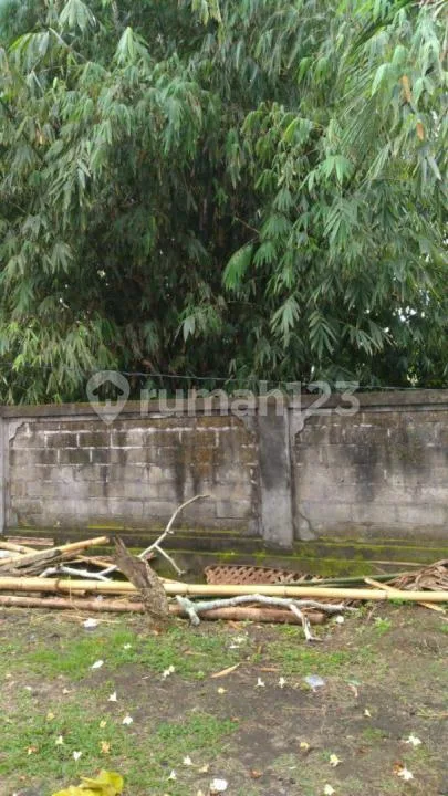 Tanah Murah Kmenuh Selatan Ubud Siap Bangun - Image 4 of 4