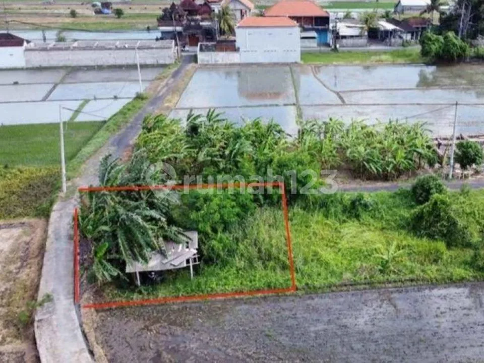 Tanah 215MÂ² View Sawah di Kedungu Tabanan Bali - Image 2 of 4