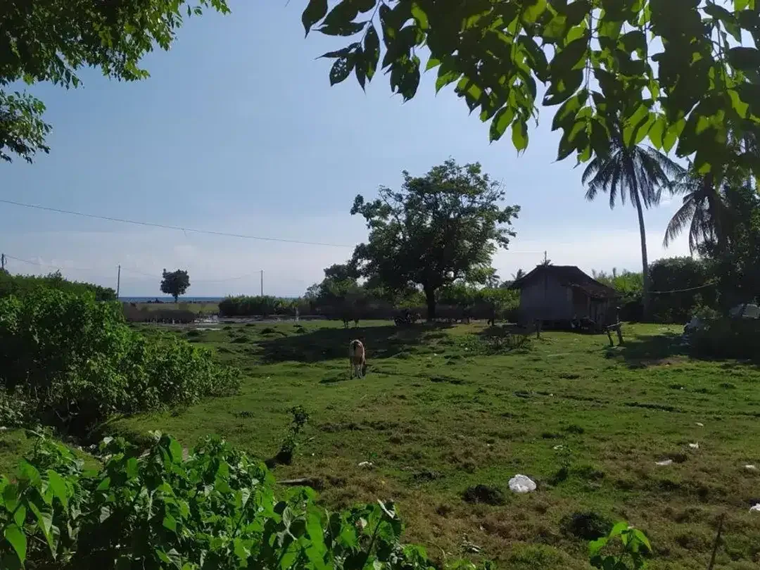 Dijual Tanah Hook Position & Tourism Zone, Los Pantai di Pebuahan – Investasi Pariwisata Bali Barat - Image 10 of 10