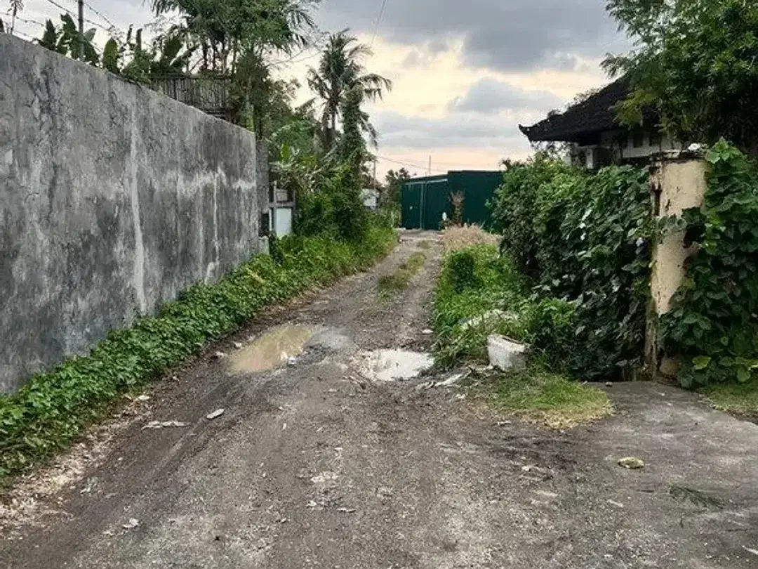 Premium 7.58 Are Freehold Rice Field View Land For Sale In Berawa - Image 6 of 8