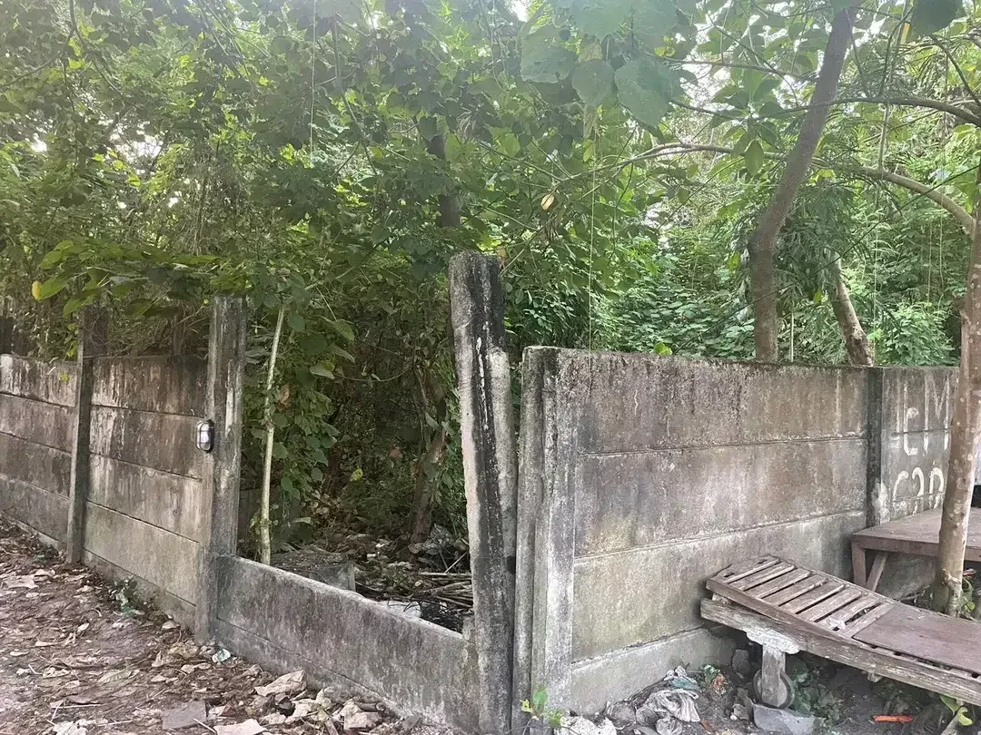 Freehold-Rare Strategic Freehold Land in heart of Canggu, Berawa - Image 4 of 5