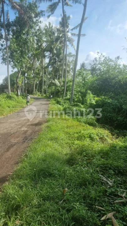 Tanah Jual Lokasi Sukawati - Image 1 of 4