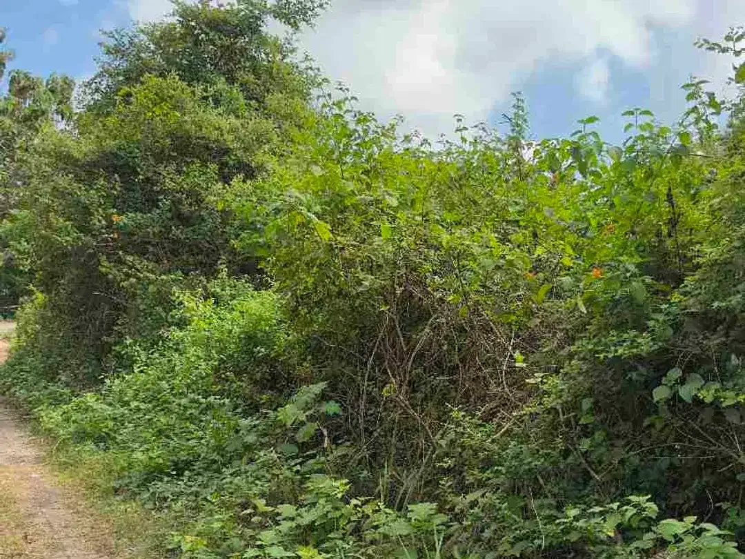Dijual Tanah Langka 100m2 di Kuta Selatan Untuk Vila - Image 2 of 7