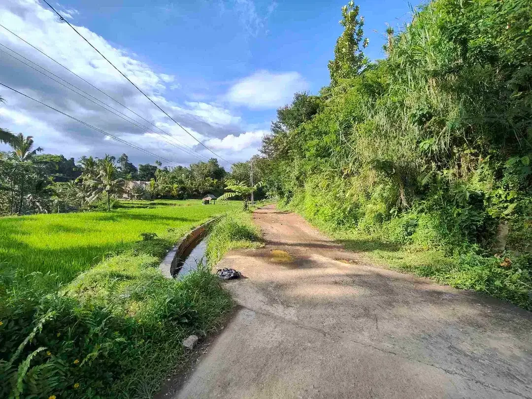 Kavling ubud - Tegallalang, view bagus - Image 3 of 5