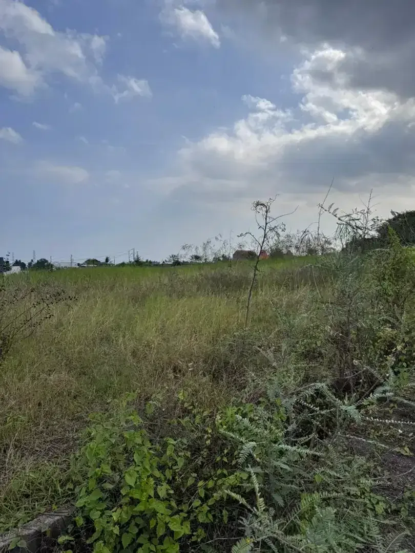 35 menit to Canggu, yeh Gangga Beach - Image 3 of 5