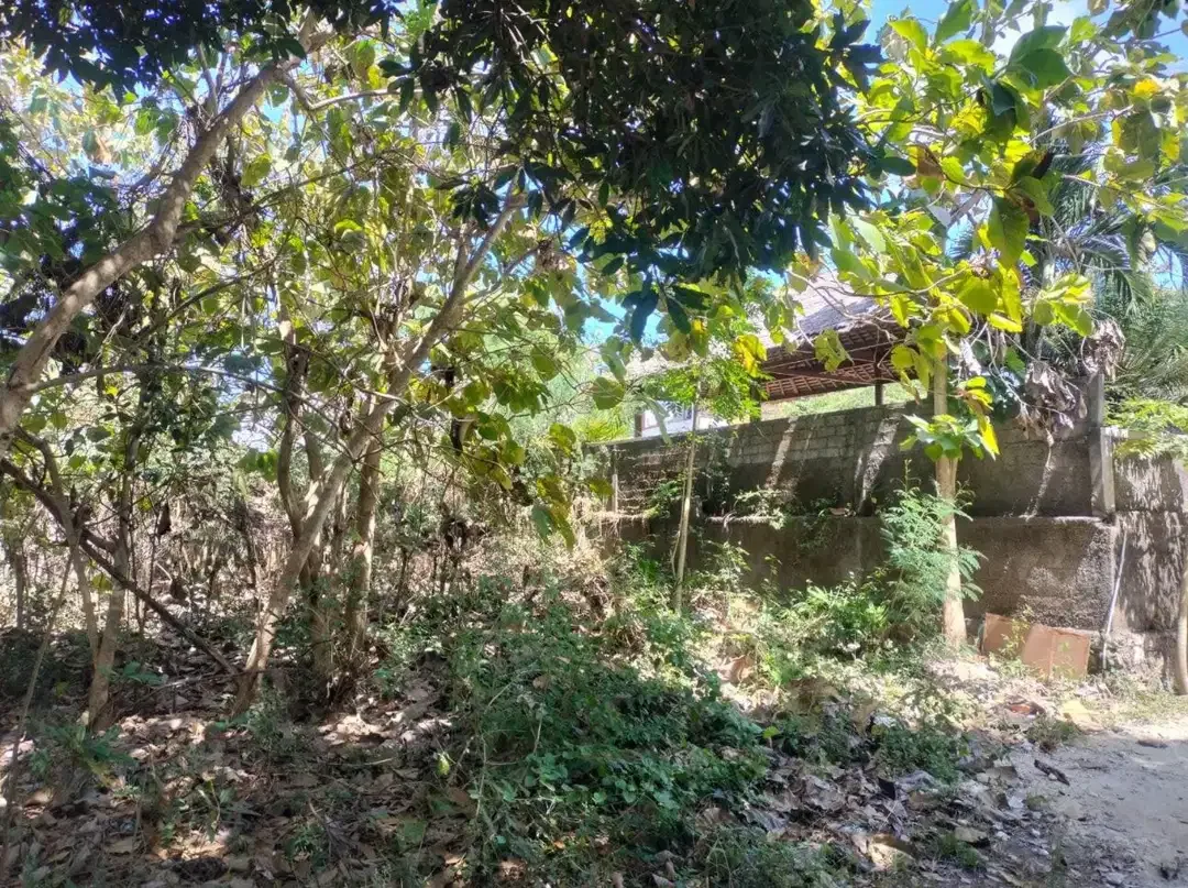 Tanah MURAH Strategis Jl Palapa Nusa Dua - Image 6 of 8