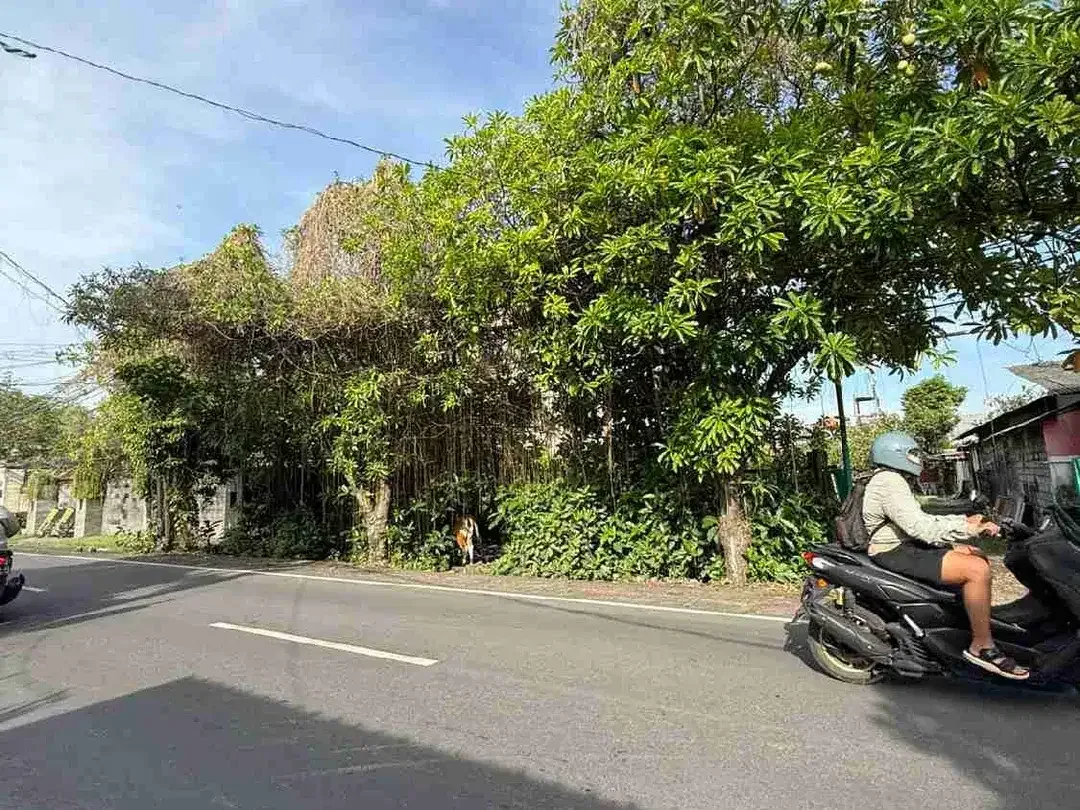 Buc Tanah Premium 12Are Strategis Raya Utama Tk Badung Renon Jl12mtr - Image 4 of 5