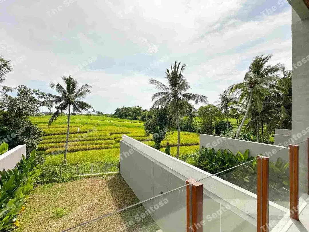 Villa Kedungu View Sawah Abadi Brand new harga super ramah - Image 9 of 10