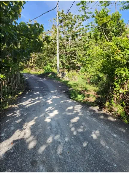 Land for sale at Pecatu - Image 6 of 10
