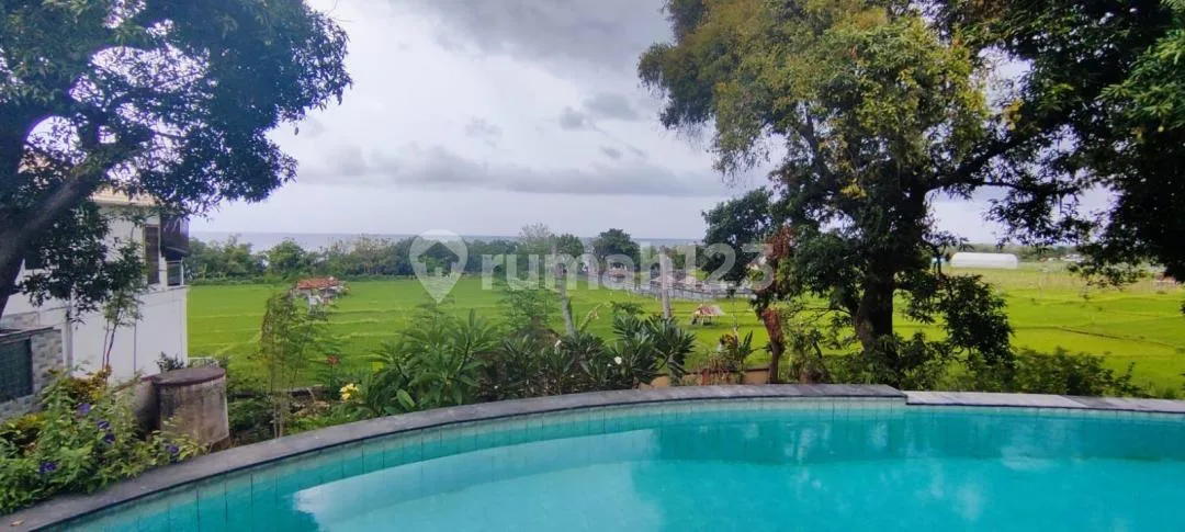 Villa Dijual Lokasi Seririt Buleleng - Image 3 of 4