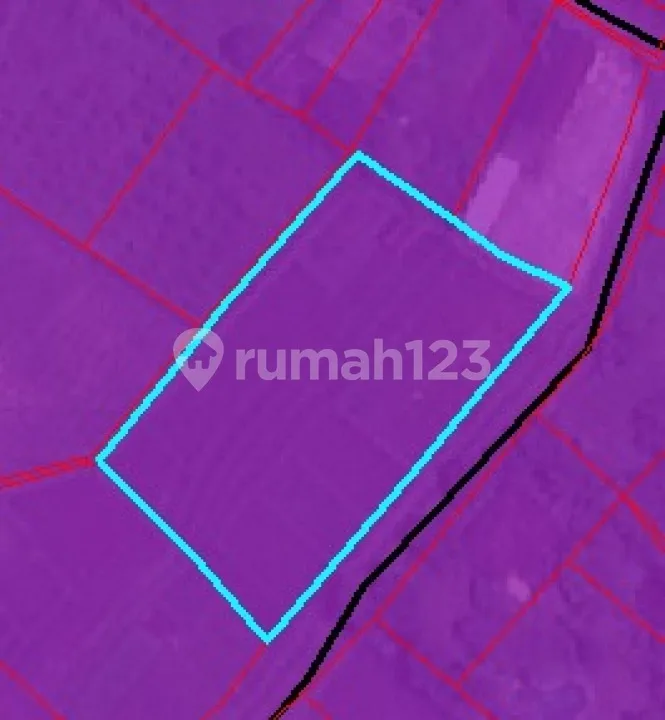 Di Jual Tanah Murah Dekat Pantai Pasut Tabanan Sangat Cocok untuk Komplex Villa - Image 4 of 4