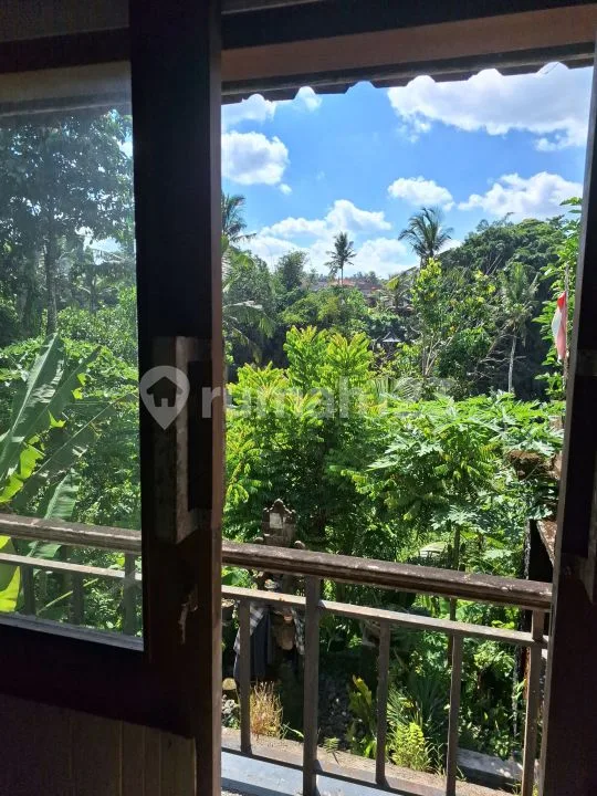Rumah Pejeng Kelod Ubud Dikontrakan - Image 2 of 4