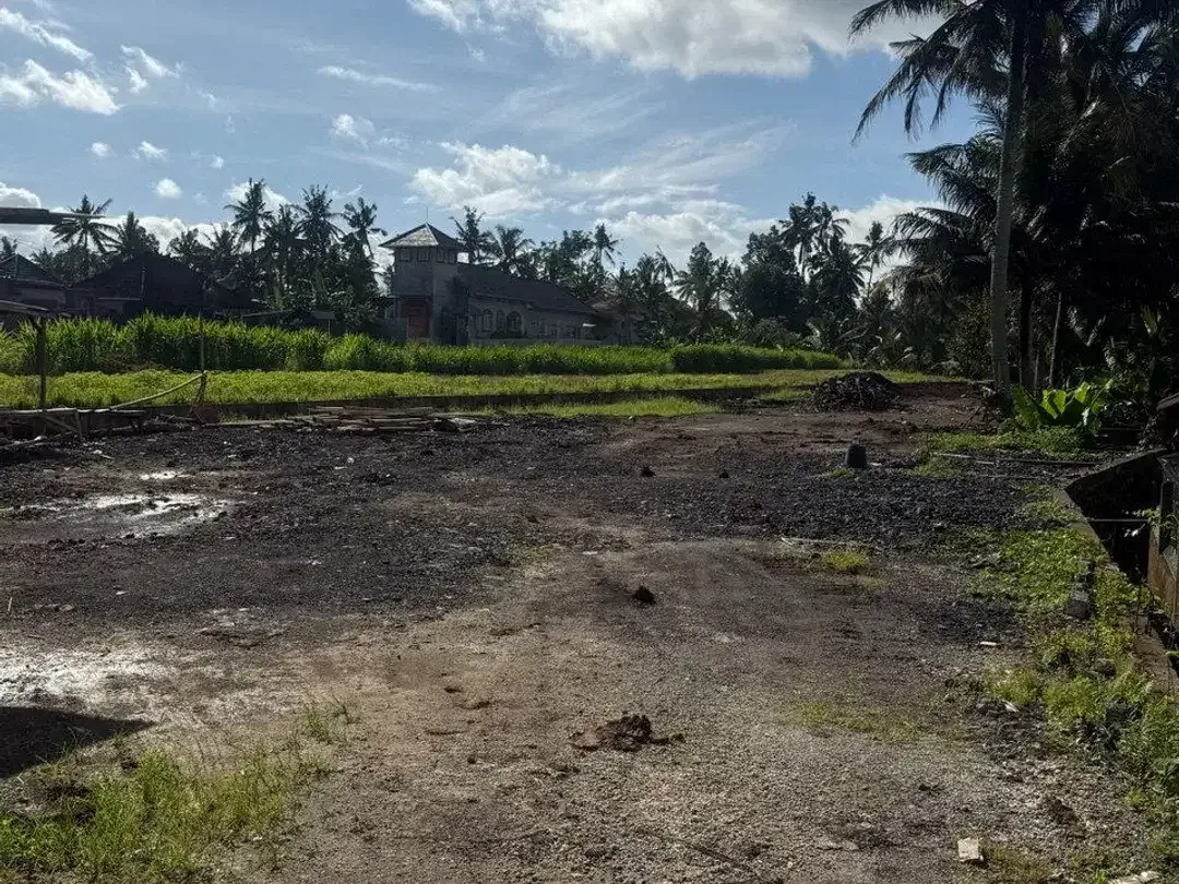 Prime Investment Land - 27 Are Leasehold Plot in Pejeng, Ubud - Secure Your Piece of Bali's Land - Image 10 of 10