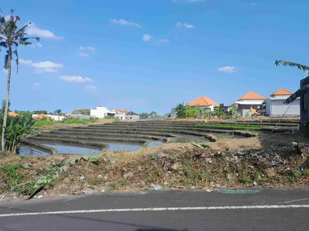 Tanah View Sawah Kayu Tulang Canggu Kuta Utara - Image 3 of 10