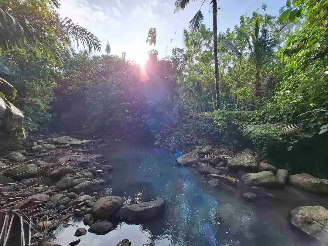 dijual tanah kebun murah los sungai jernih dengan view sawah dan gunung di tabanan bali - Image 2 of 10