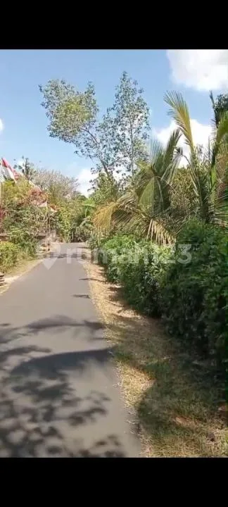Jual Tanah Kebun Durian Murah di Tabanan - Image 3 of 4
