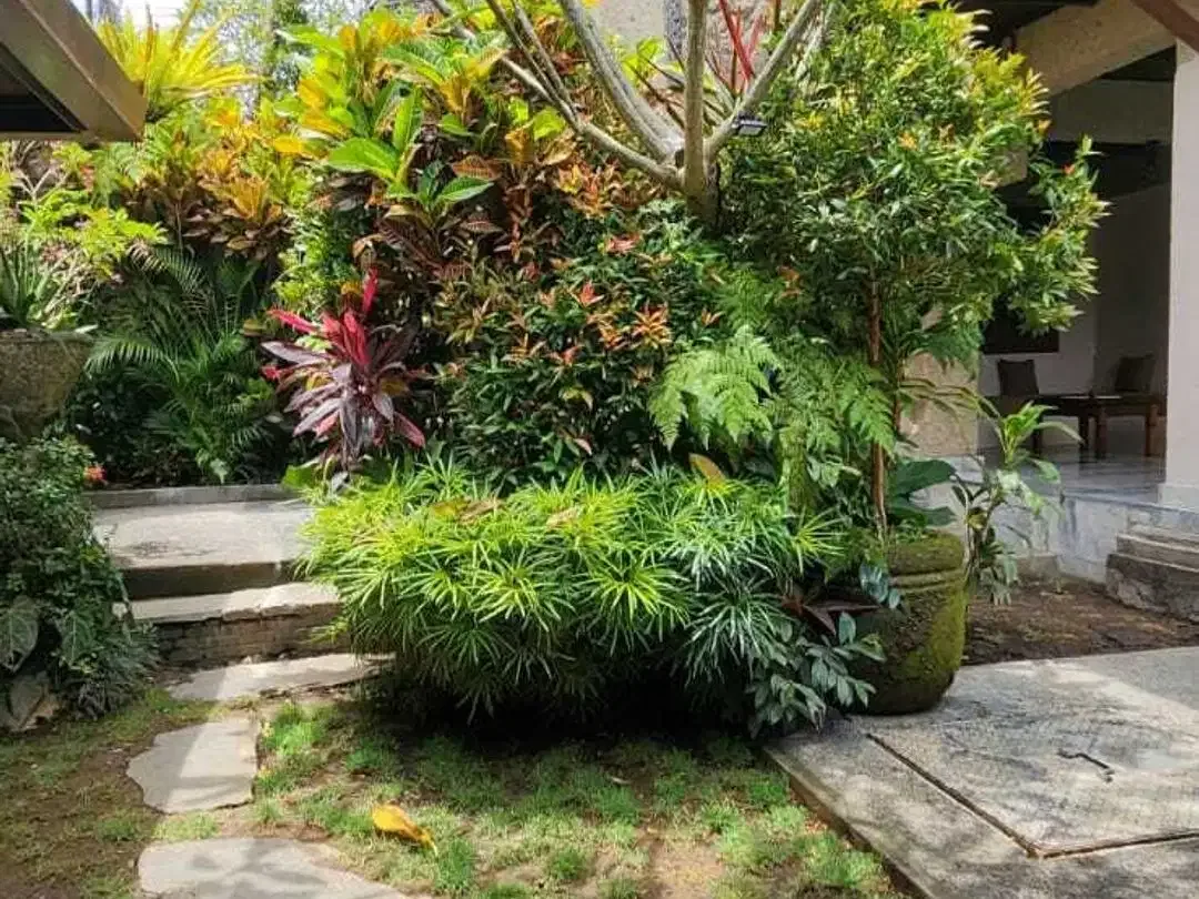 Villa Tropis Balinese di Kedewatan Ubud - Image 8 of 10