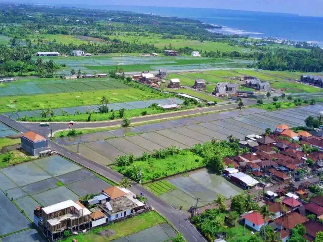 Tanah pangkung tibah tabanan - Image 5 of 8