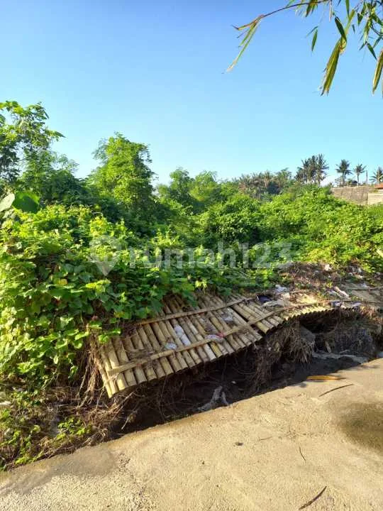 Dijual Cepat Tanah Strategis di Keramas - Image 3 of 4