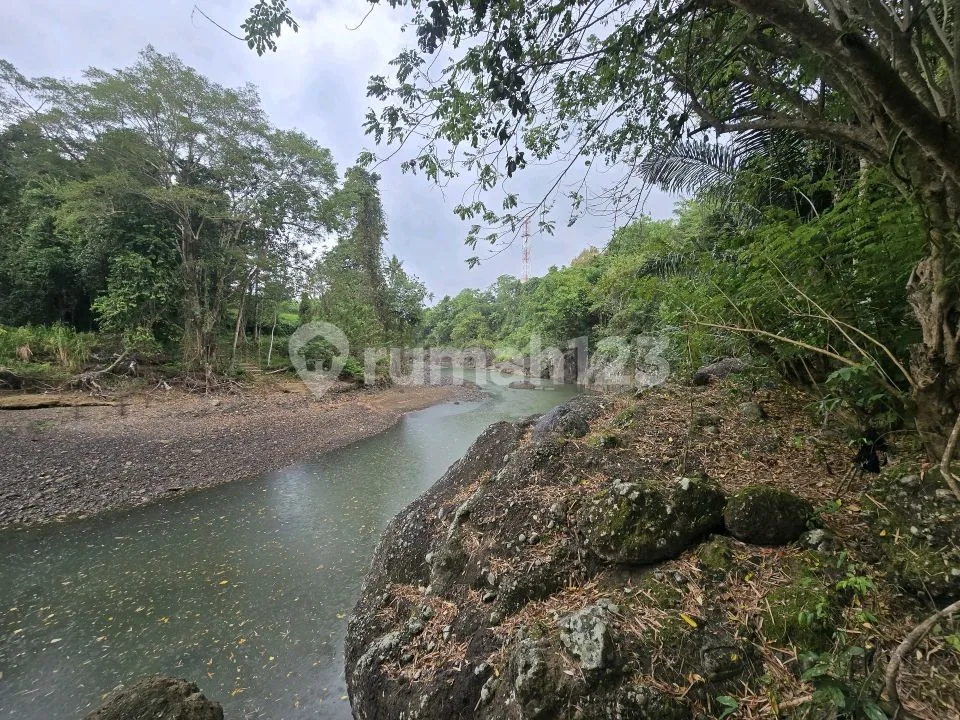 Dijual Tanah Datar Los Sungai Murah Yellow Zona di Tabanan Bali - Image 3 of 4