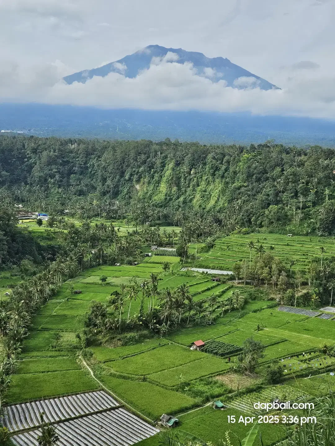 For sale 2350 sqm land with incredible natural views in Karangasem - Image 6 of 6